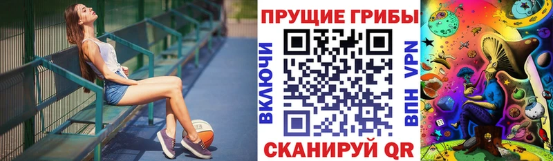 купить наркотик  Пущино  Галлюциногенные грибы прущие грибы 
